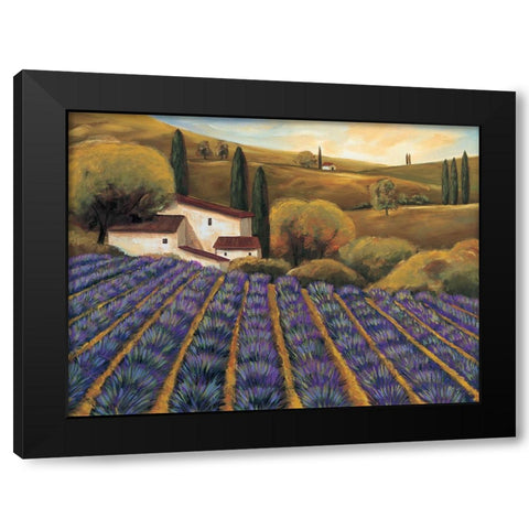 Field of Lavender II Black Modern Wood Framed Art Print with Double Matting by Cooper, Michael