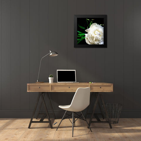 White Peony  Black Modern Wood Framed Art Print by Calkins, Michelle