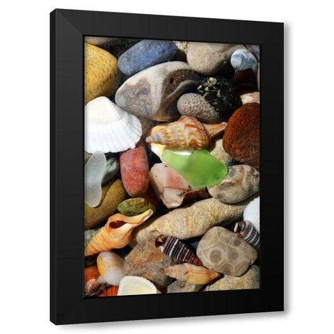 Petoskey Stones I Black Modern Wood Framed Art Print by Calkins, Michelle