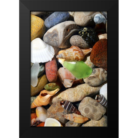 Petoskey Stones I Black Modern Wood Framed Art Print by Calkins, Michelle