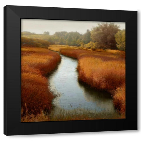 Sunlit Pond I Black Modern Wood Framed Art Print by Clark, Madeline