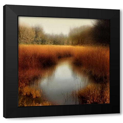 Sunlit Pond II Black Modern Wood Framed Art Print by Clark, Madeline