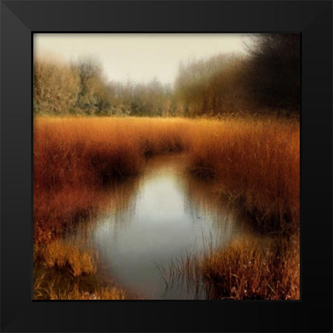 Sunlit Pond II Black Modern Wood Framed Art Print by Clark, Madeline