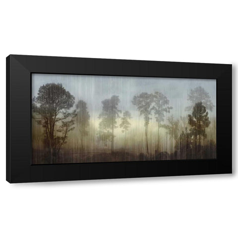 Break Of Day Black Modern Wood Framed Art Print with Double Matting by Clark, Madeline