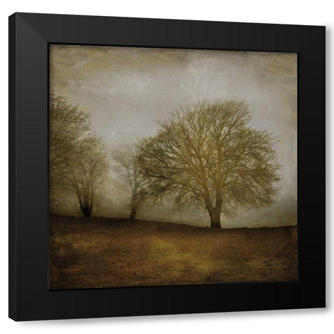 Morning Meditation II Black Modern Wood Framed Art Print by Clark, Madeline
