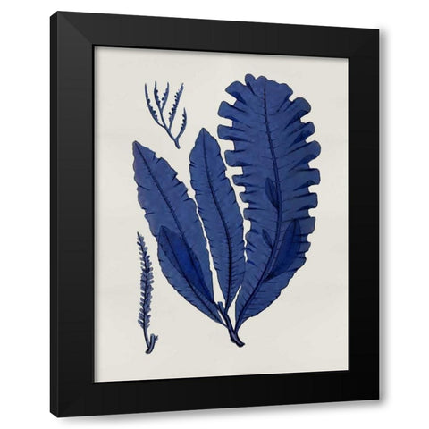 Sea Life - Indigo IV Black Modern Wood Framed Art Print by Miller, Melonie