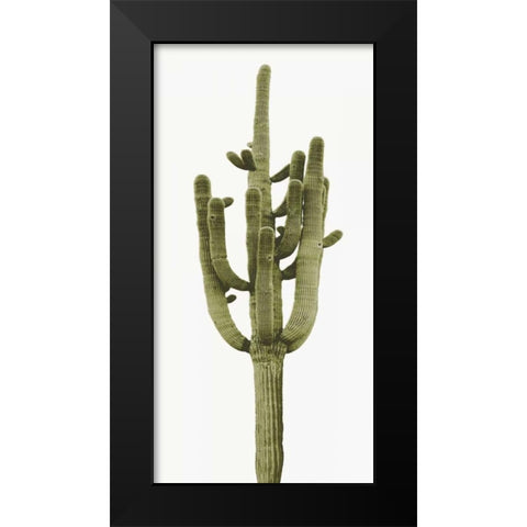 Saguaro II Black Modern Wood Framed Art Print by Jensen, Mia