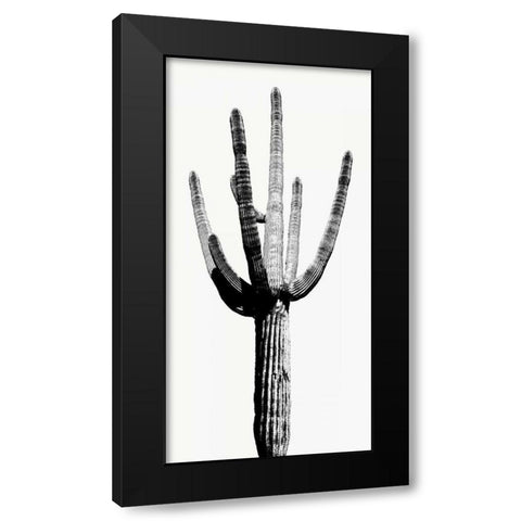 Saguaro Black and White I Black Modern Wood Framed Art Print with Double Matting by Jensen, Mia