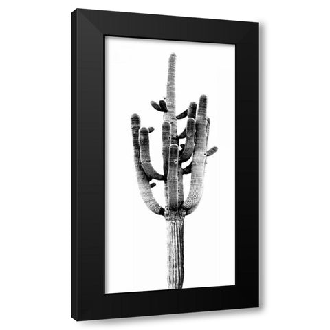 Saguaro Black and White II Black Modern Wood Framed Art Print with Double Matting by Jensen, Mia