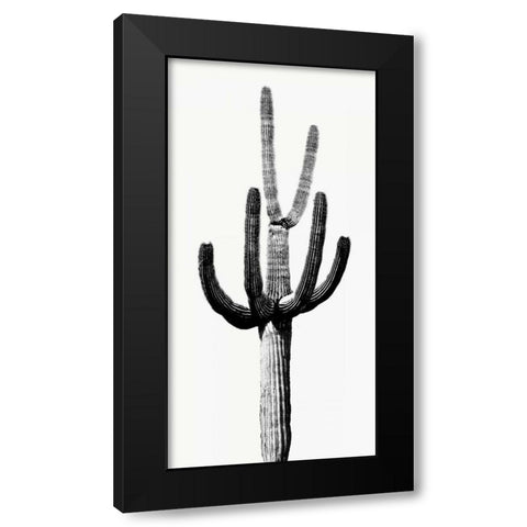 Saguaro Black and White III Black Modern Wood Framed Art Print with Double Matting by Jensen, Mia