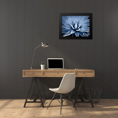 Succulent Indigo III Black Modern Wood Framed Art Print by Jensen, Mia