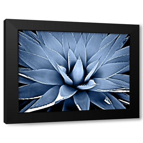Succulent Indigo III Black Modern Wood Framed Art Print by Jensen, Mia