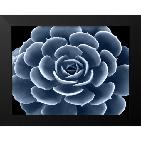 Succulent Indigo IV Black Modern Wood Framed Art Print by Jensen, Mia