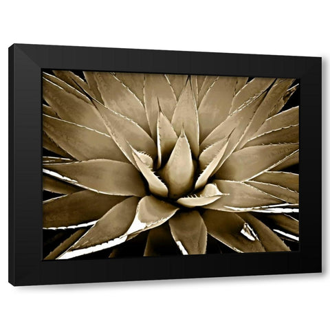 Succulent Taupe III Black Modern Wood Framed Art Print by Jensen, Mia