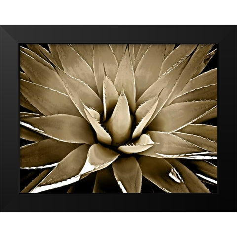 Succulent Taupe III Black Modern Wood Framed Art Print by Jensen, Mia