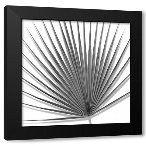Palm Black and White III Black Modern Wood Framed Art Print by Jensen, Mia