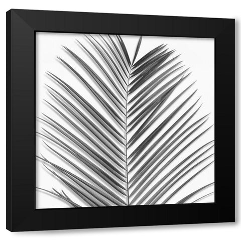 Palm Black and White V Black Modern Wood Framed Art Print by Jensen, Mia
