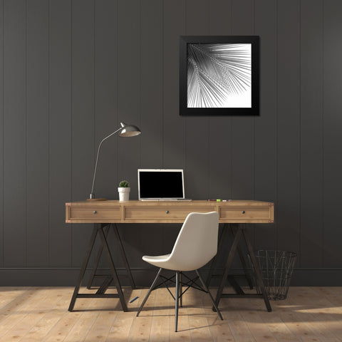 Palm Black and White VI Black Modern Wood Framed Art Print by Jensen, Mia
