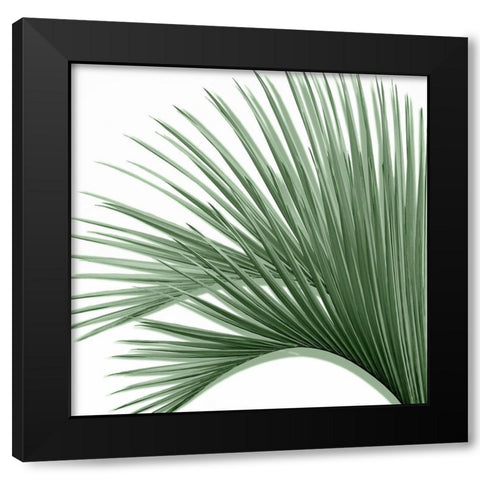 Palm Green IV Black Modern Wood Framed Art Print by Jensen, Mia
