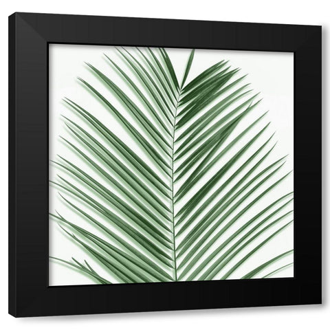Palm Green V Black Modern Wood Framed Art Print with Double Matting by Jensen, Mia