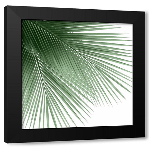 Palm Green VI Black Modern Wood Framed Art Print by Jensen, Mia