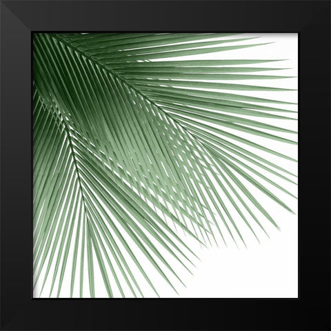 Palm Green VI Black Modern Wood Framed Art Print by Jensen, Mia
