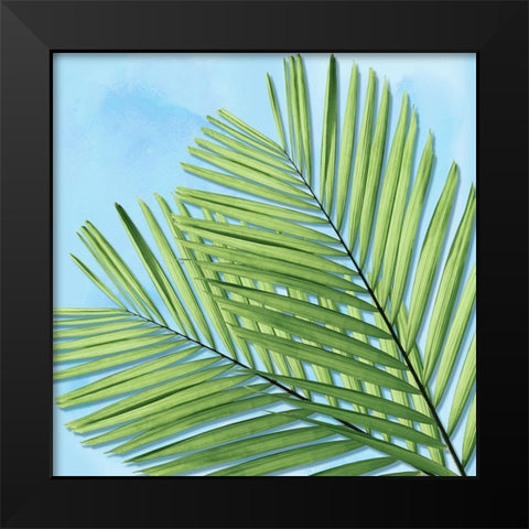 Palm on Blue I Black Modern Wood Framed Art Print by Jensen, Mia