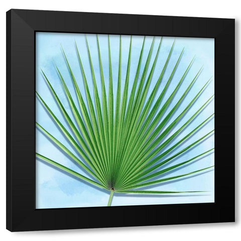 Palm on Blue III Black Modern Wood Framed Art Print by Jensen, Mia