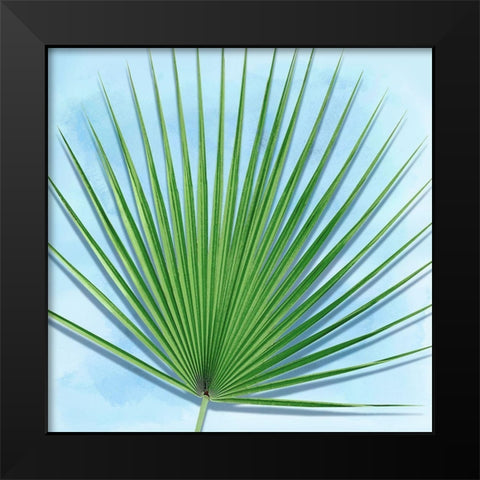 Palm on Blue III Black Modern Wood Framed Art Print by Jensen, Mia