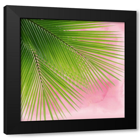 Palm on Pink VI Black Modern Wood Framed Art Print with Double Matting by Jensen, Mia
