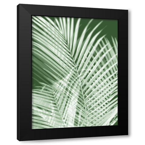 Palm Shadows Green I Black Modern Wood Framed Art Print by Miller, Melonie
