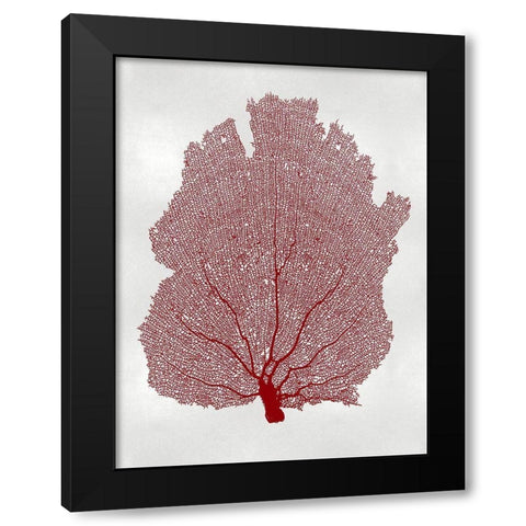 Sea Fan Coral I Black Modern Wood Framed Art Print with Double Matting by Miller, Melonie