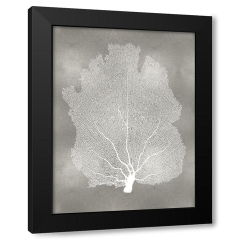 Sea Fan on Silver I Black Modern Wood Framed Art Print with Double Matting by Miller, Melonie