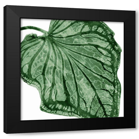 Tropical Green Palm III Black Modern Wood Framed Art Print with Double Matting by Miller, Melonie
