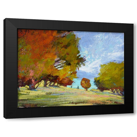 Natures Serenade IX Black Modern Wood Framed Art Print with Double Matting by Tienhaara, Michael