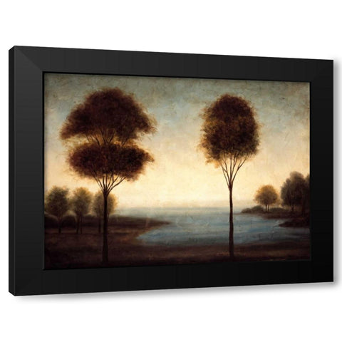 Water Dreams II Black Modern Wood Framed Art Print with Double Matting by Thomas, Neil