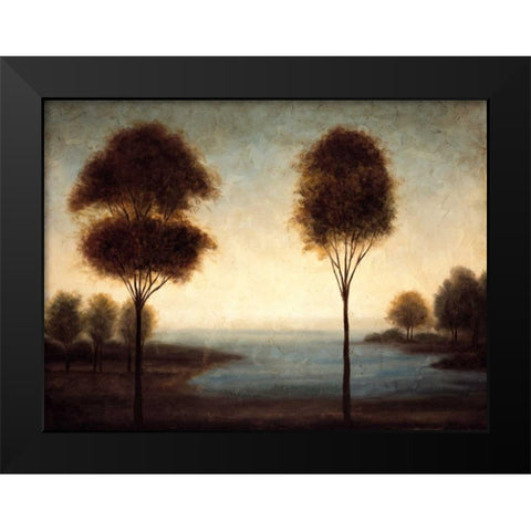 Water Dreams II Black Modern Wood Framed Art Print by Thomas, Neil