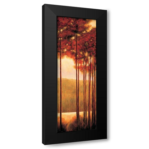 Through the Woods II Black Modern Wood Framed Art Print with Double Matting by Thomas, Neil