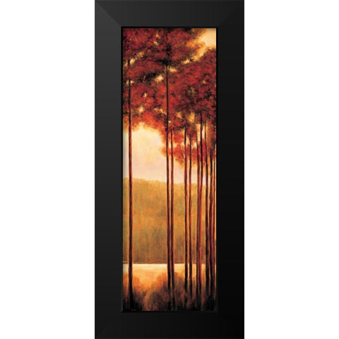 Through the Woods II Black Modern Wood Framed Art Print by Thomas, Neil