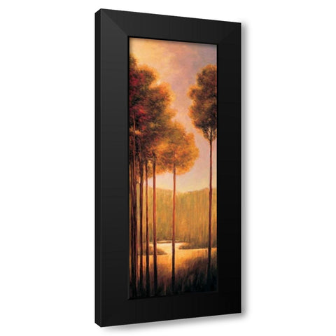 Through the Woods III Black Modern Wood Framed Art Print by Thomas, Neil