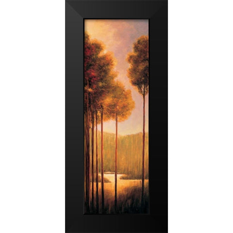 Through the Woods III Black Modern Wood Framed Art Print by Thomas, Neil