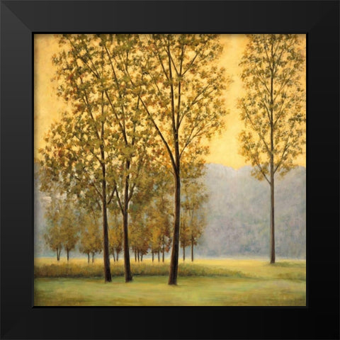 Misty Morning II Black Modern Wood Framed Art Print by Thomas, Neil