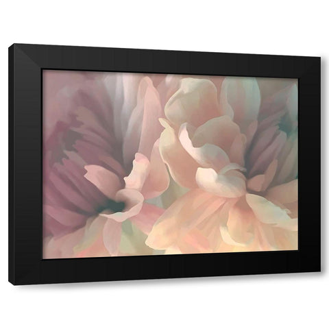 Chrysanthemum II Black Modern Wood Framed Art Print by Pollard, David