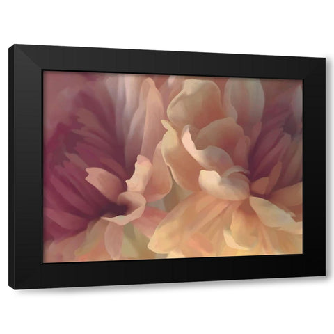 Chrysanthemum IV Black Modern Wood Framed Art Print with Double Matting by Pollard, David