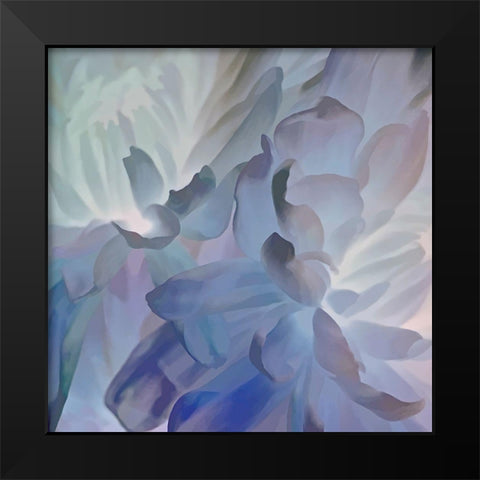 Chrysanthemum V Black Modern Wood Framed Art Print by Pollard, David
