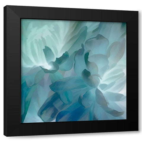 Chrysanthemum VII Black Modern Wood Framed Art Print by Pollard, David