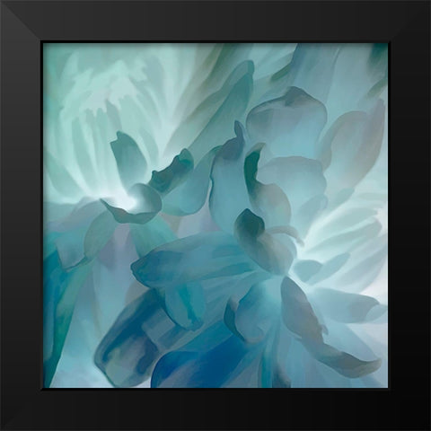 Chrysanthemum VII Black Modern Wood Framed Art Print by Pollard, David