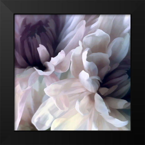 Chrysanthemum IX Black Modern Wood Framed Art Print by Pollard, David
