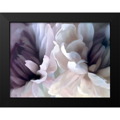 Chrysanthemum X Black Modern Wood Framed Art Print by Pollard, David