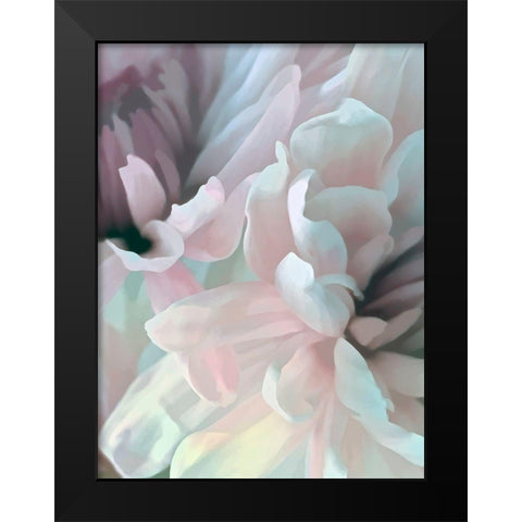 Chrysanthemum XII Black Modern Wood Framed Art Print by Pollard, David